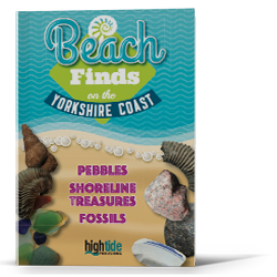 Beach Finds on the Yorkshire Coast